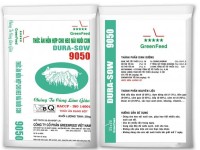 Thức ăn cho heo nái nuôi con - Greenfeed Việt Nam - Công Ty Cổ Phần Greenfeed Việt Nam
